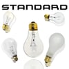 Tradional Bulbs
