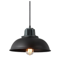 Pendant lights