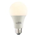 Smart Light Bulbs