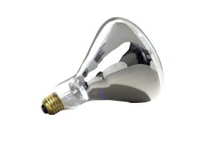 BR40 Incandescent Heat Lamp 125W 2700K Medium (E26) 120V Clear product image