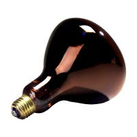 R40 Incandescent Heat Lamp 250W 2700K Medium (E26) 120V Red LED product