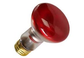 R20 Reflector Flood Incandescent Bulb 50W 2700K Medium (E26) 130V