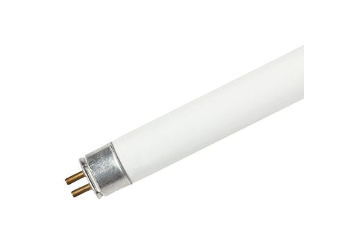 T5 Type A (Direct) Linear Tube LED product