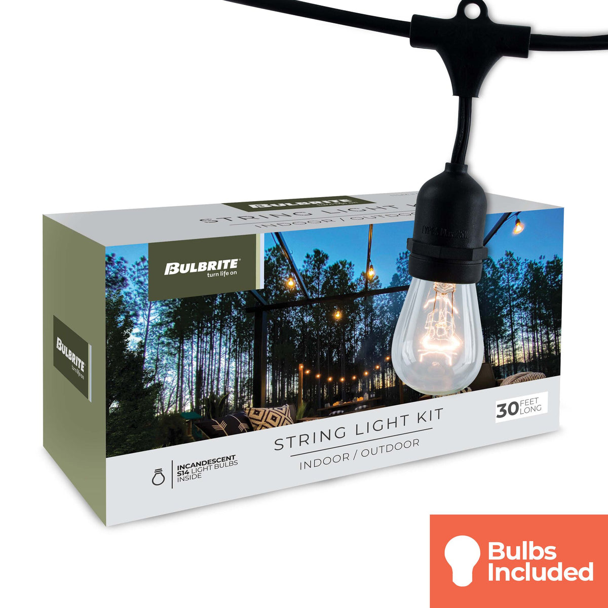 Bulbrite 30-Foot String Light Kit with Clear Vintage Style S14 Incandescent Light Bulbs