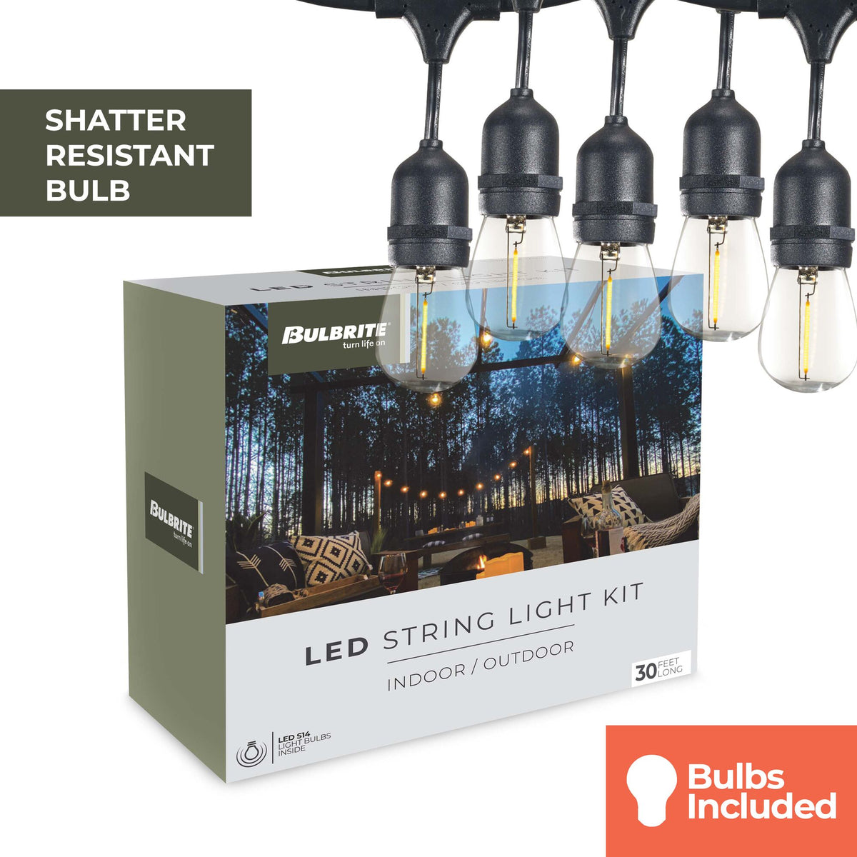 Bulbrite 30-Foot String Light Kit with Clear Shatter Resistant Vintage Style S14 LED Light Bulbs