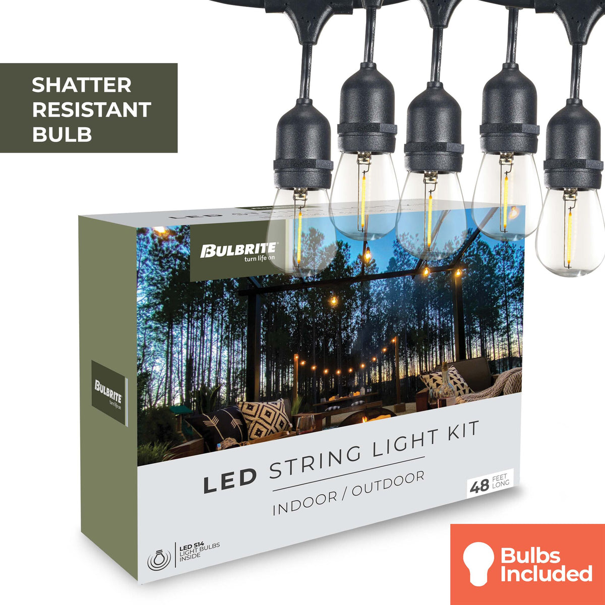 Bulbrite 48-Foot String Light Kit with Clear Shatter Resistant Vintage Style S14 LED Light Bulbs, 2-Pack