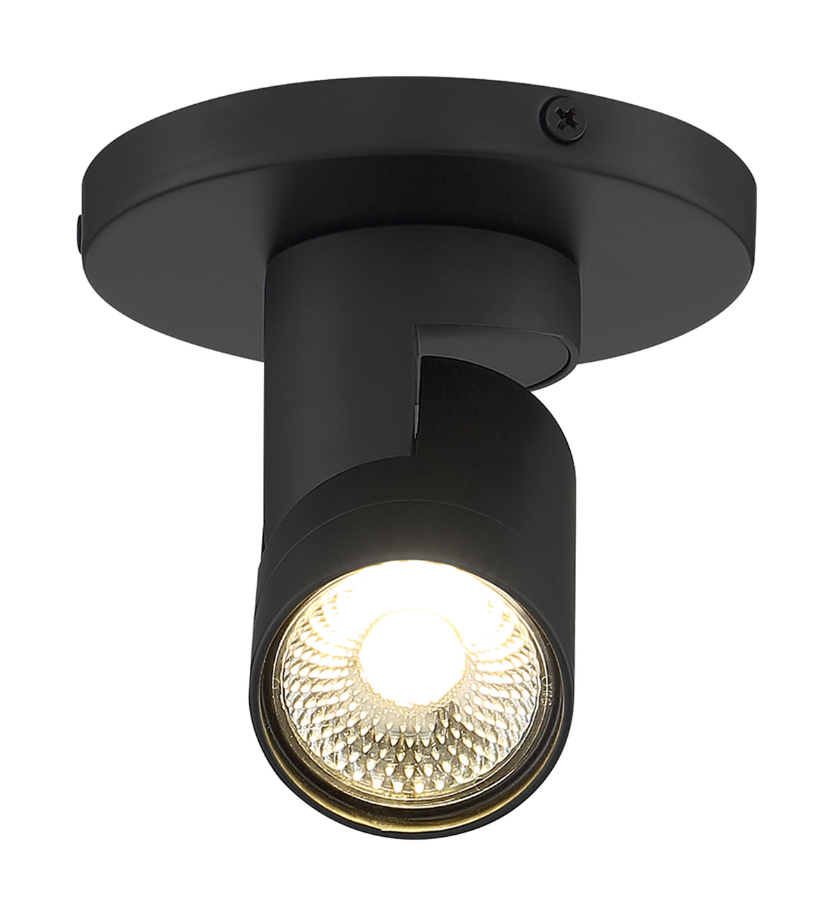 12 Watt - LED - Black - Barrel - Monopoint - 3000K - 36 deg. Beam Angle