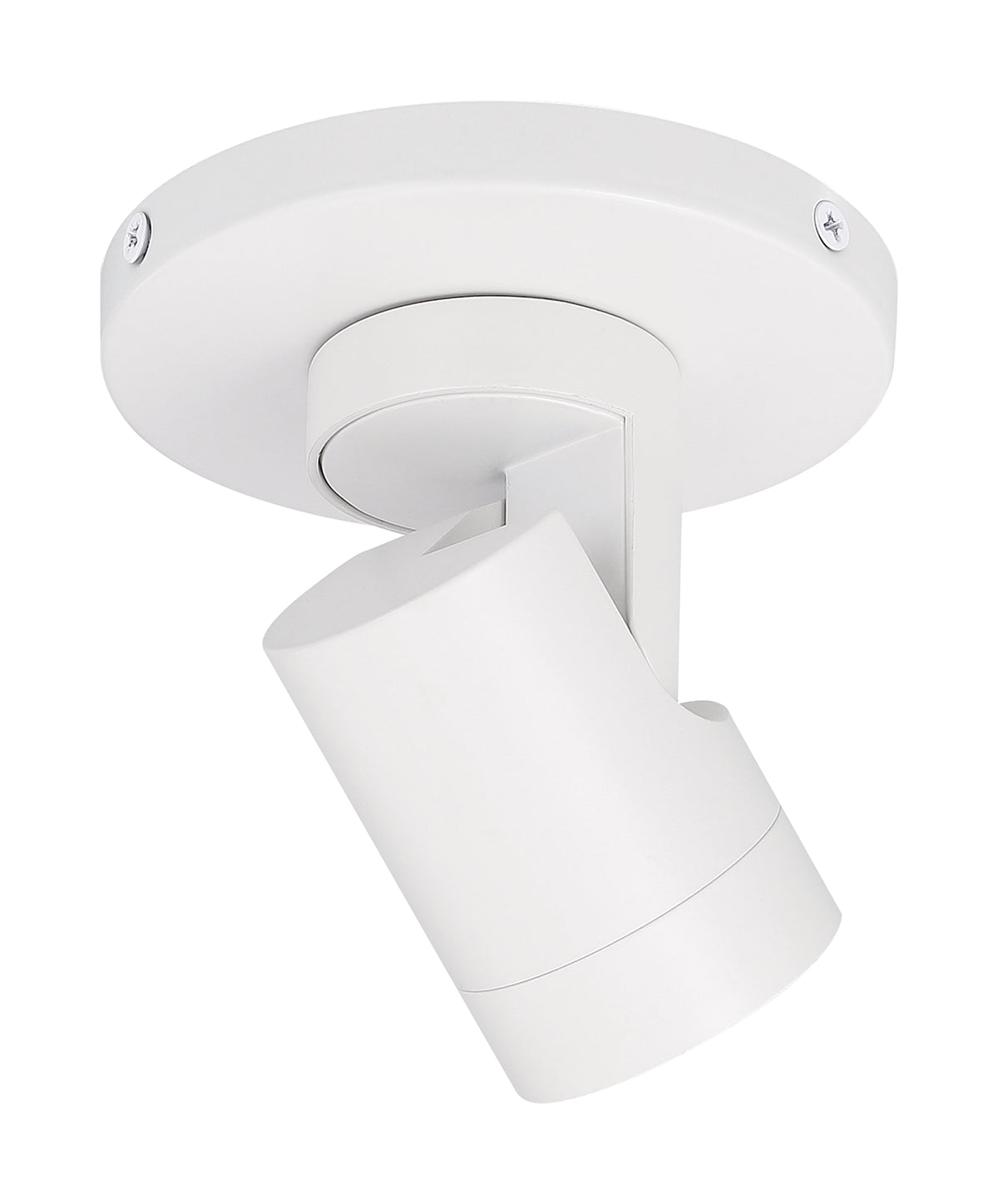 12 Watt - LED - White - Barrel - Monopoint - 3000K - 36 deg. Beam Angle - White Finish