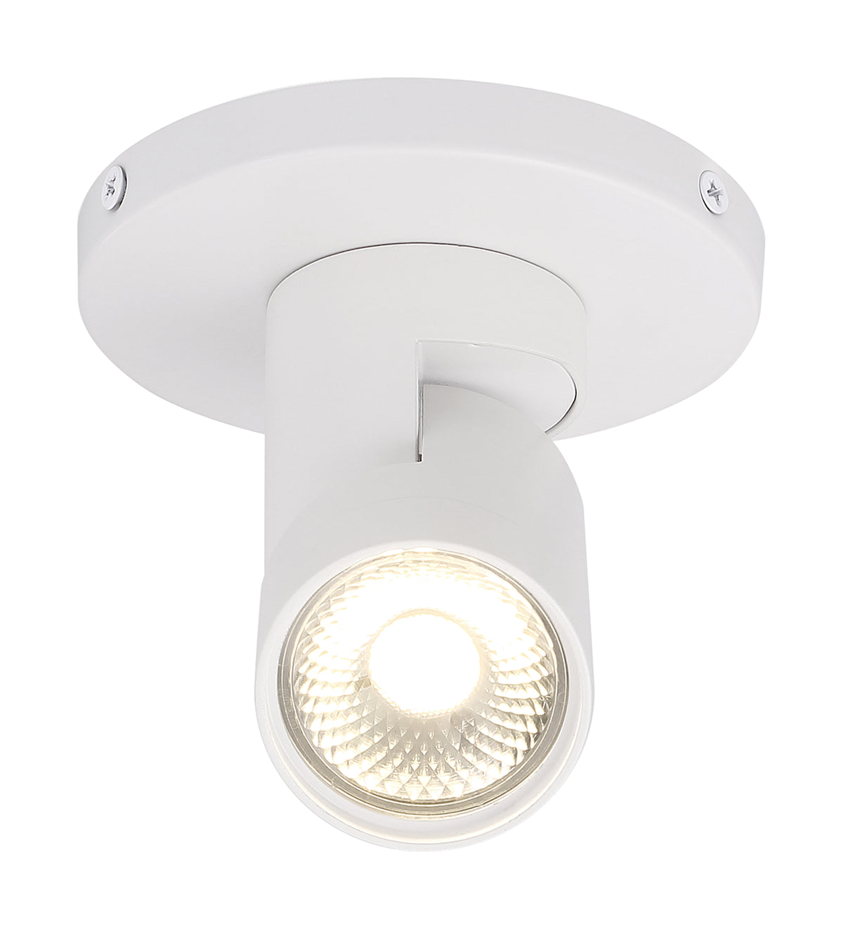 12 Watt - LED - White - Barrel - Monopoint - 3000K - 36 deg. Beam Angle - White Finish