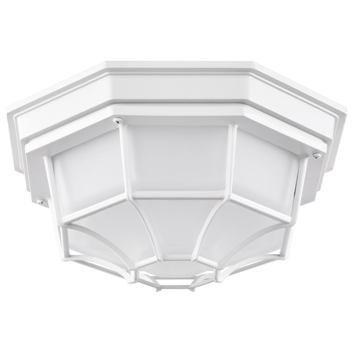 LED Spider Cage Fixture - White Finish with Frosted Glass lighting product