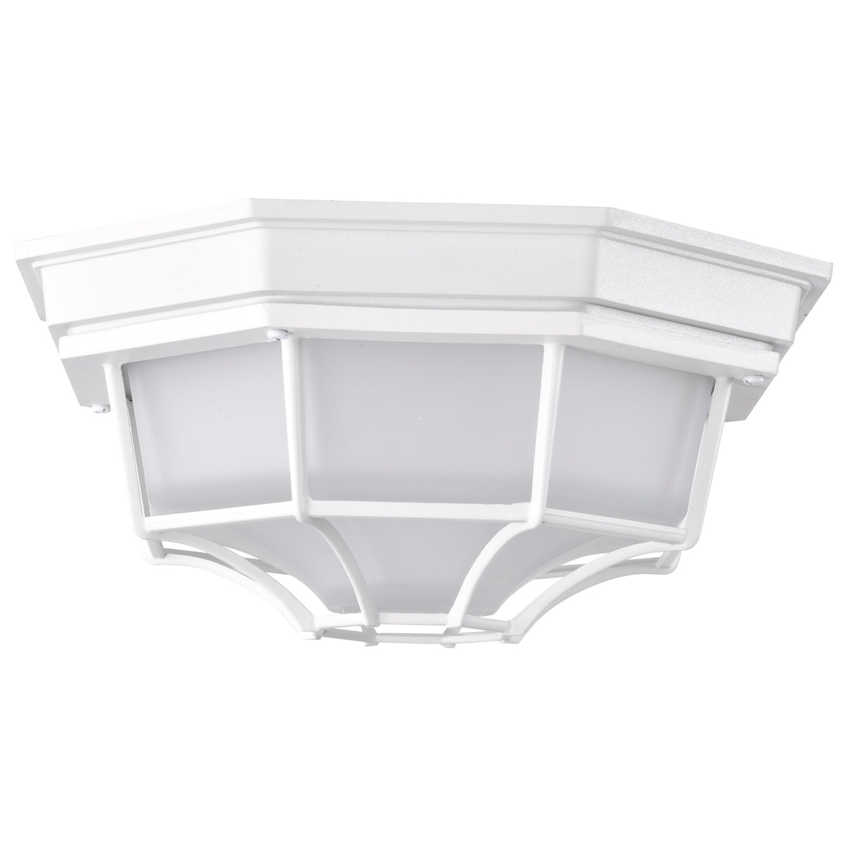 LED Spider Cage Fixture - White Finish with Frosted Glass