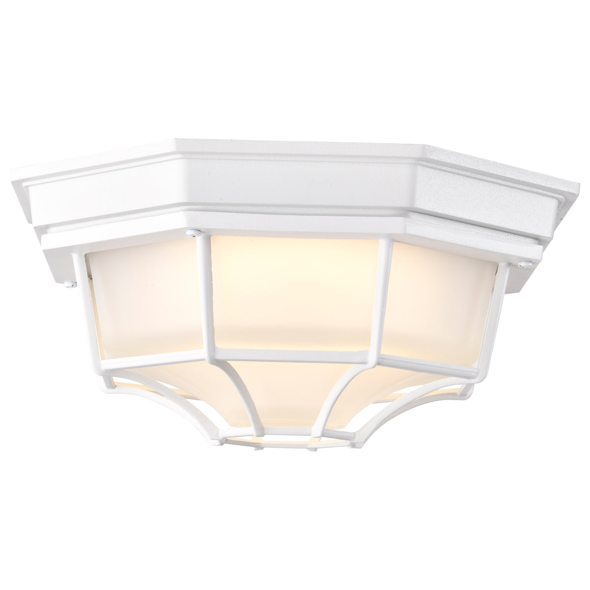 LED Spider Cage Fixture - White Finish with Frosted Glass