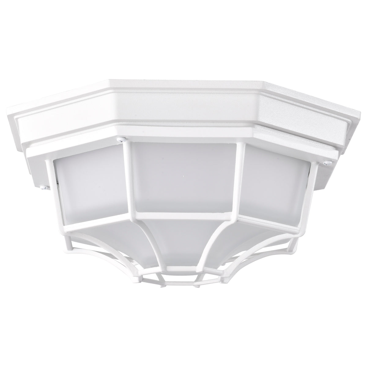 LED Spider Cage Fixture - White Finish with Frosted Glass