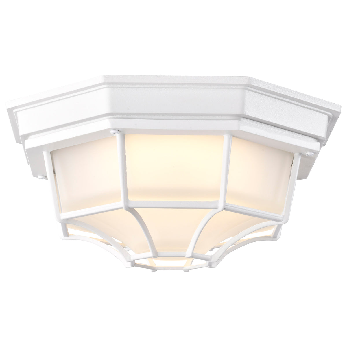 LED Spider Cage Fixture - White Finish with Frosted Glass