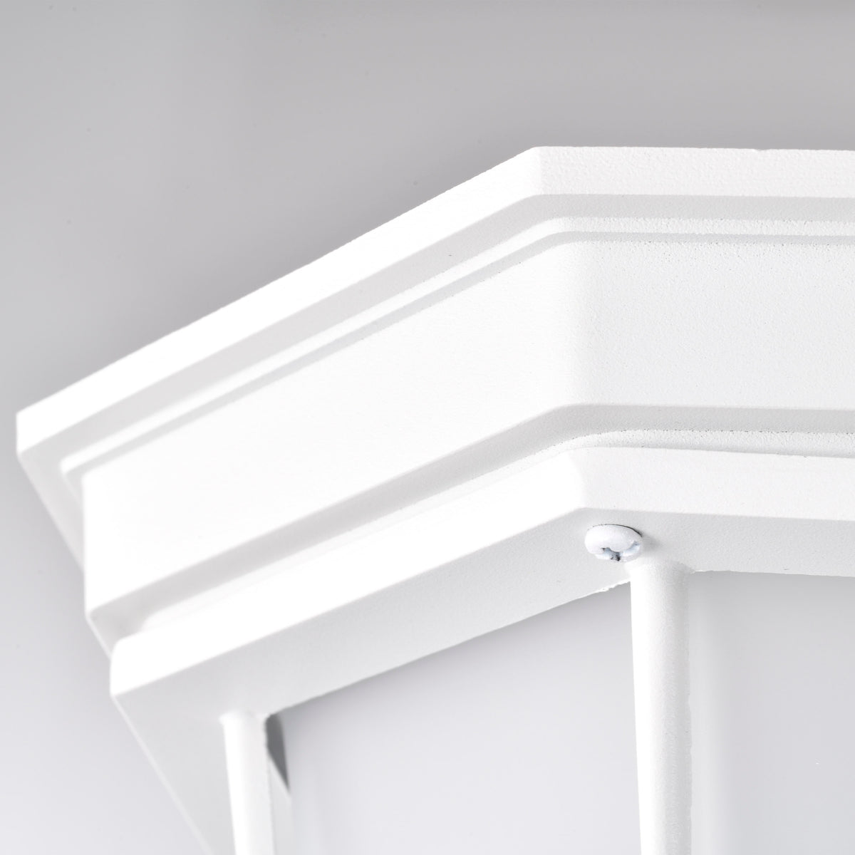 LED Spider Cage Fixture - White Finish with Frosted Glass