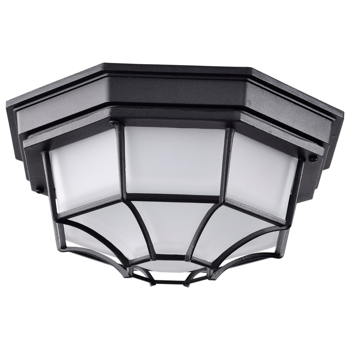 LED Spider Cage Fixture - Black Finish with Frosted Glass for commercial spaces and outdoor applications