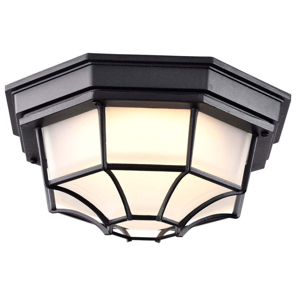 LED Spider Cage Fixture - Black Finish with Frosted Glass