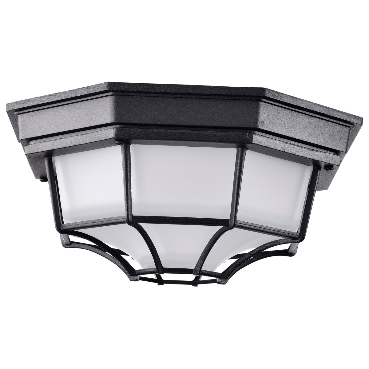 LED Spider Cage Fixture - Black Finish with Frosted Glass