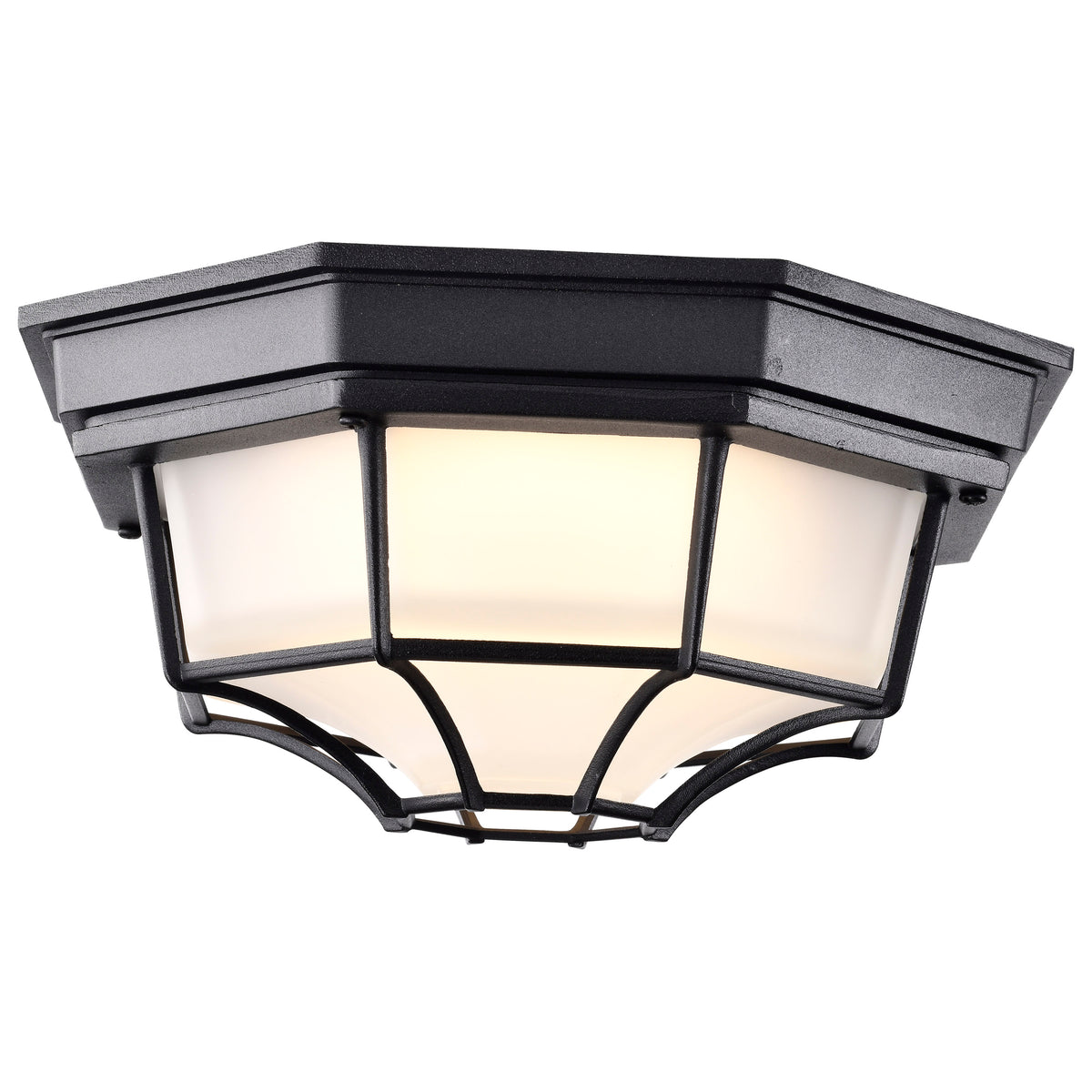 LED Spider Cage Fixture - Black Finish with Frosted Glass