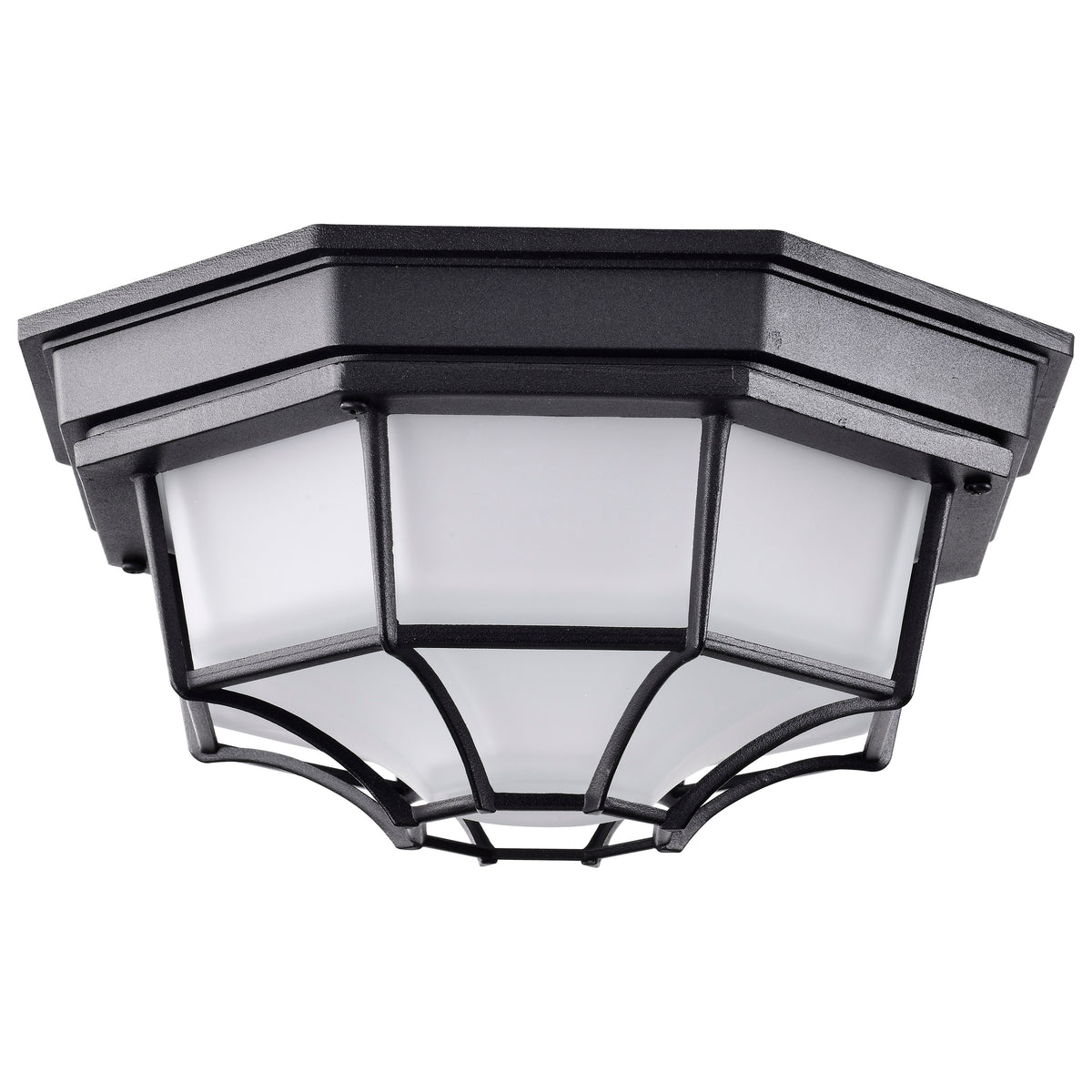 LED Spider Cage Fixture - Black Finish with Frosted Glass