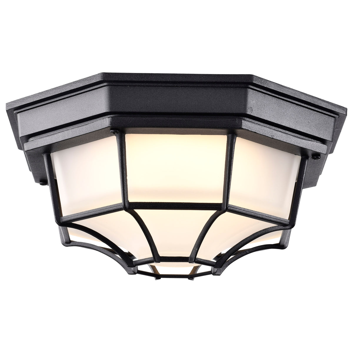 LED Spider Cage Fixture - Black Finish with Frosted Glass