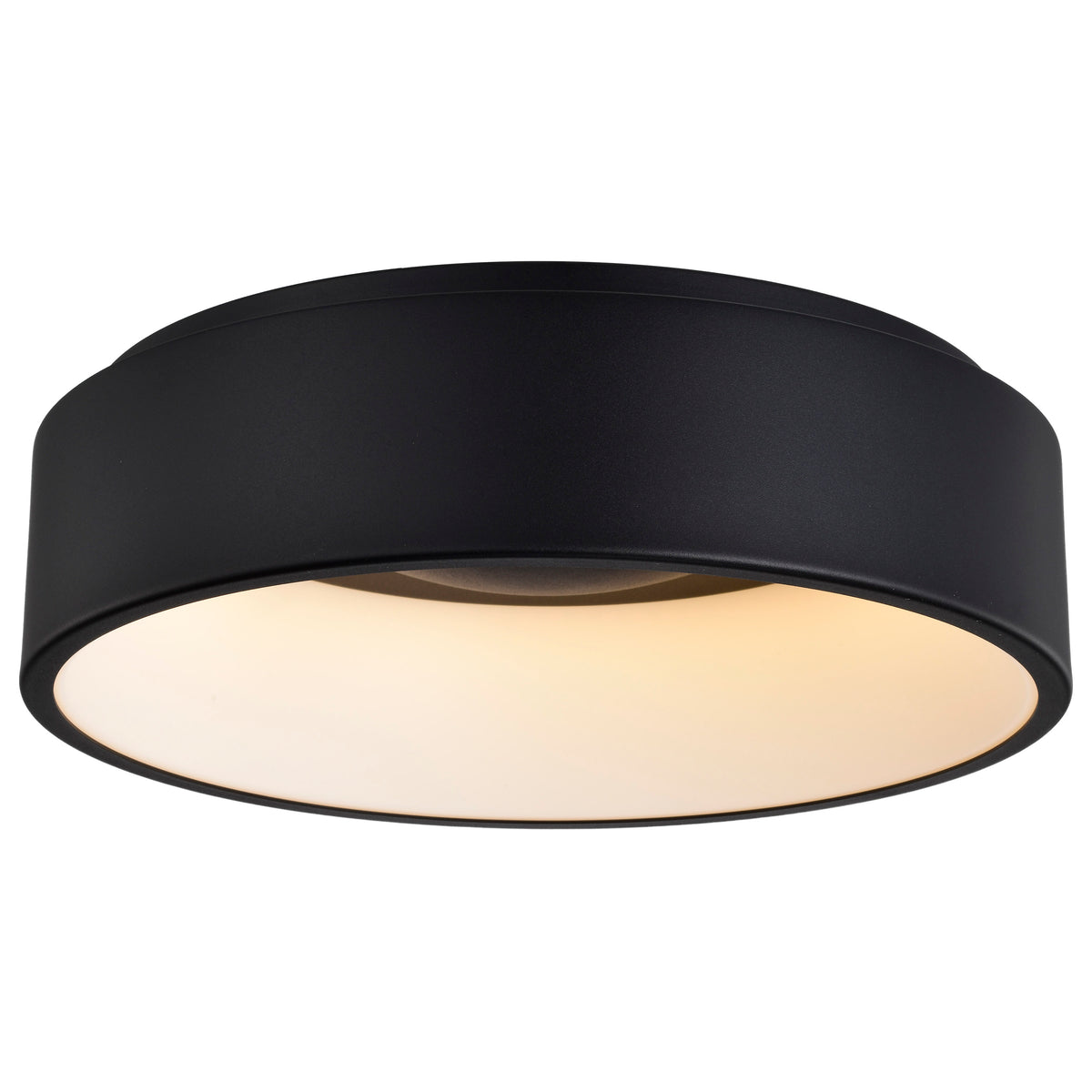 Orbit - 20W LED Flush Mount - Black Finish