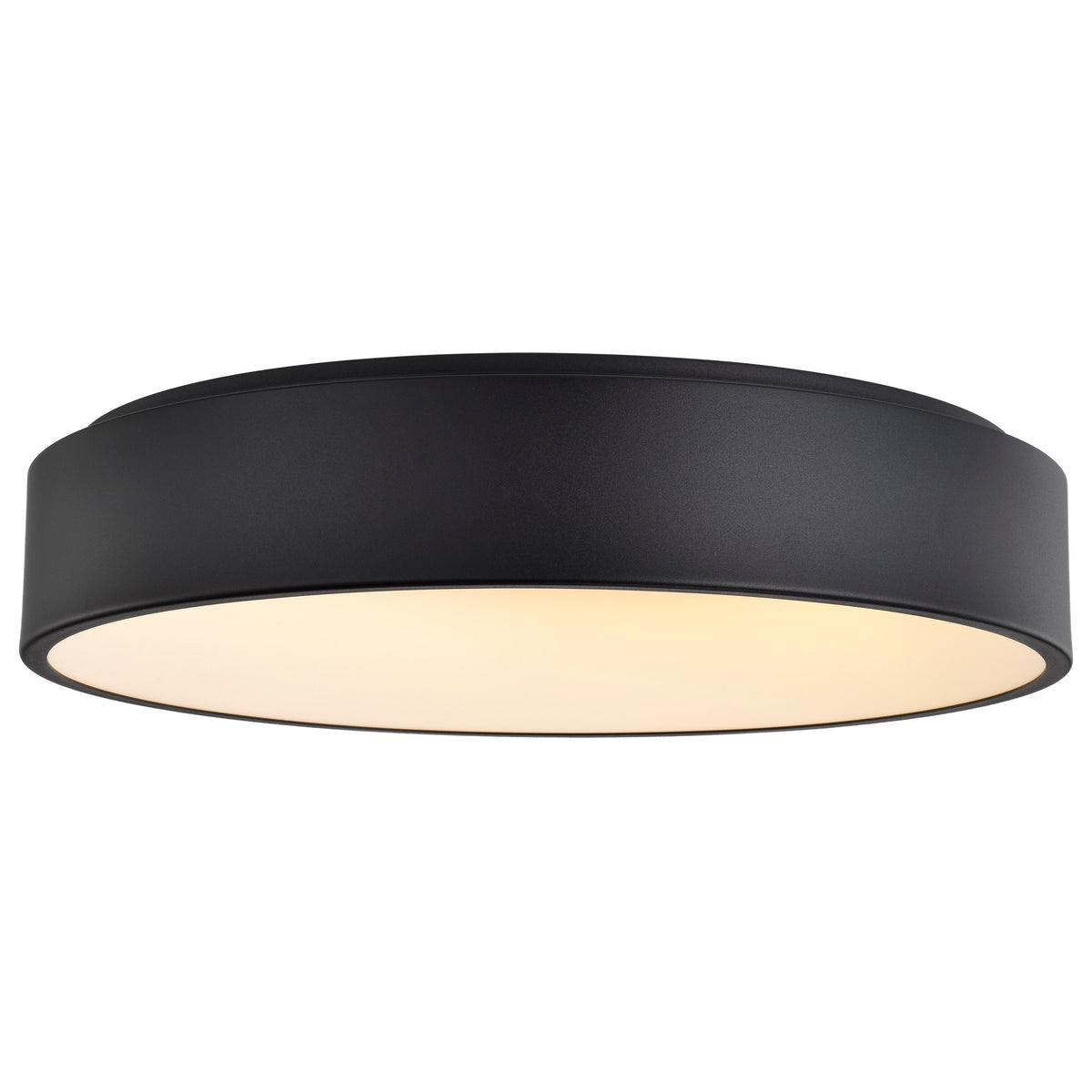 Orbit - 30W LED Flush Mount - Black Finish
