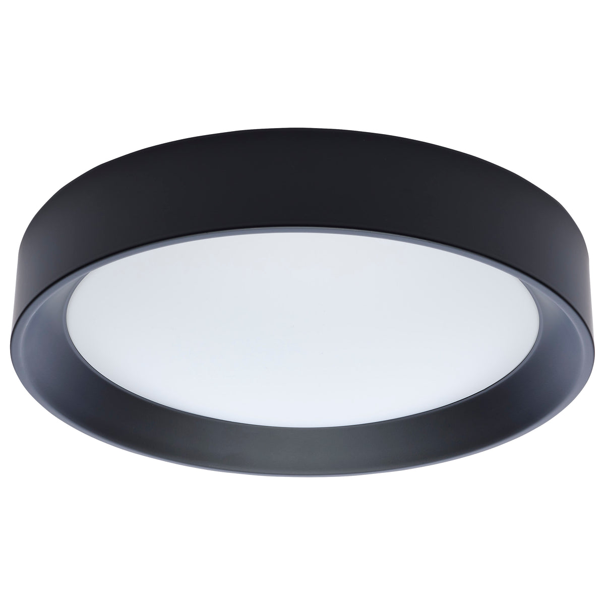 Selene - 13 Inch LED Flush Mount - Selectable - Black Finish bulb or fixture view