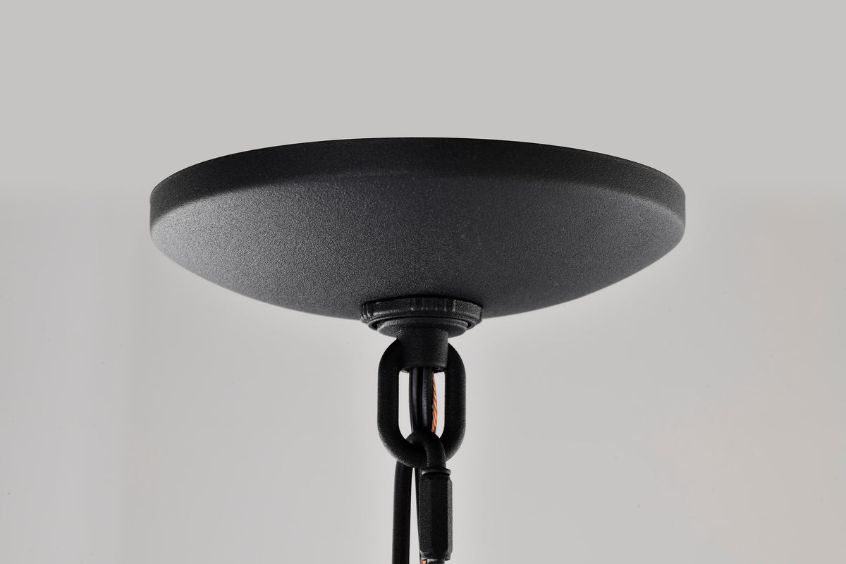 East River Collection - 1 Light Outdoor Hanging Fixture - LED - SMART - Starfish RGBTW - CCT Selectable - Matte Black - Clear Water Glass