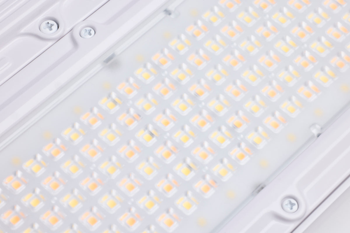 240/220/180 Watt LED Linear High Bay - 3K/4K/5K CCT - IP69K - 120-347 Volt - White Finish