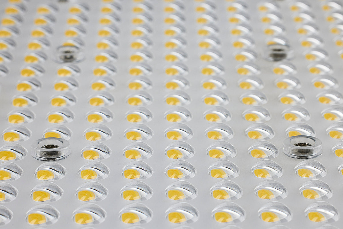 LED Area Light Type V - 150W - Bronze Finish - 4000K - 277-480V