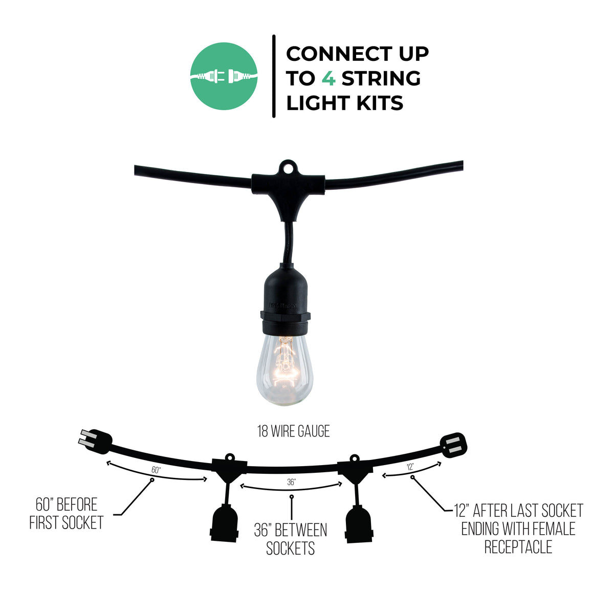 Bulbrite 48-Foot String Light Kit with Clear Vintage Style S14 Incandescent Light Bulbs, 11W
