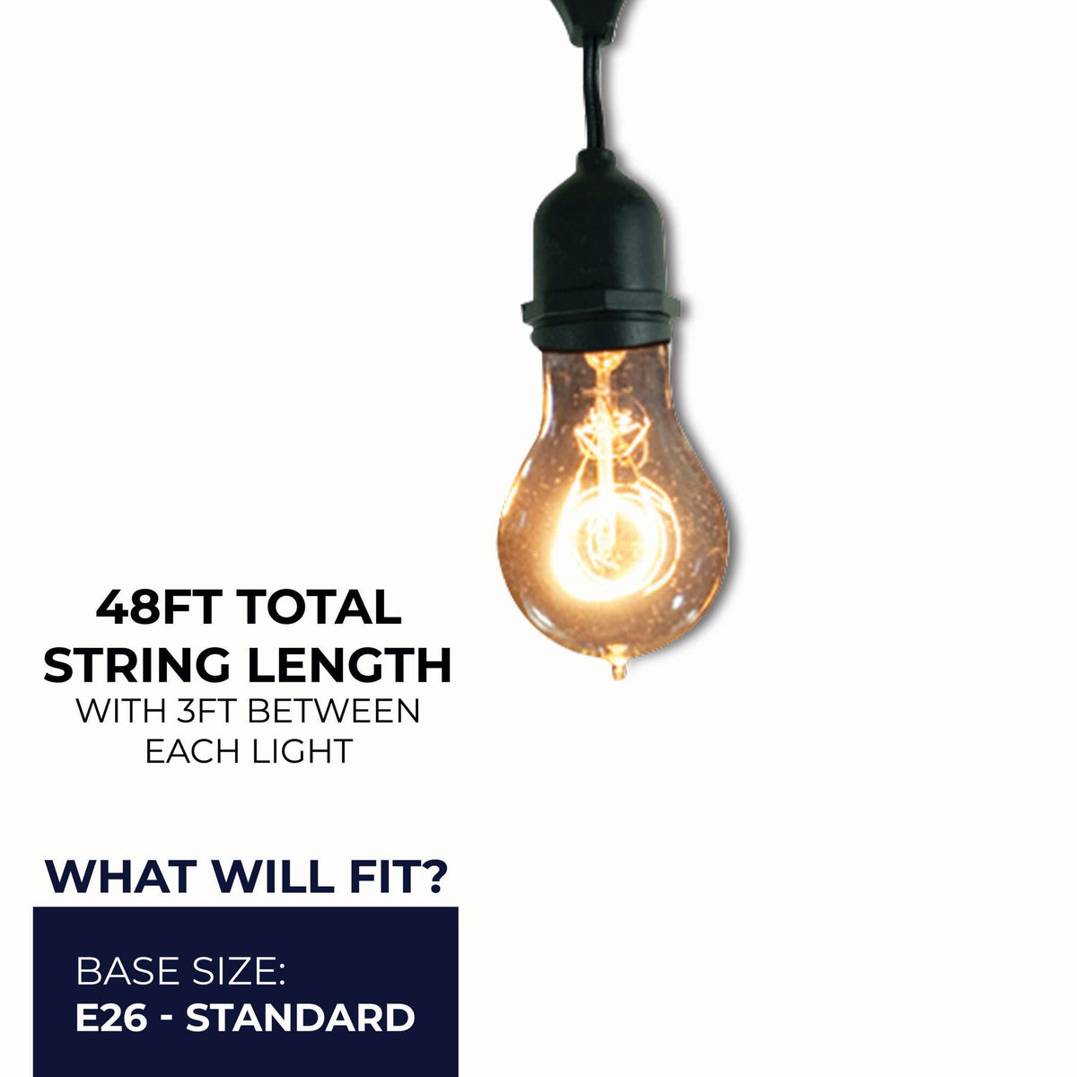 Bulbrite 48-Foot String Light Kit with Nostalgic Loop Filament A19 Incandescent Light Bulbs