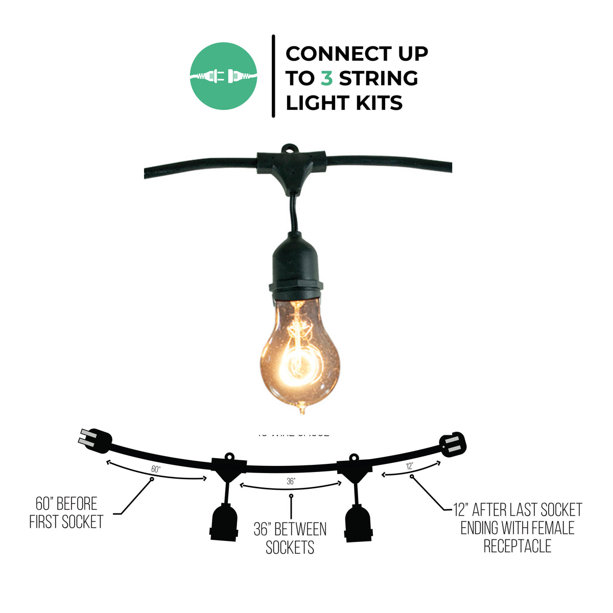 Bulbrite 48-Foot String Light Kit with Nostalgic Loop Filament A19 Incandescent Light Bulbs, 2-Pack