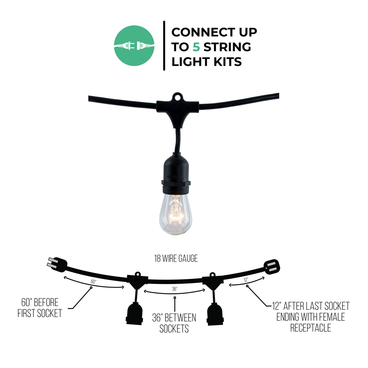 Bulbrite 48-Foot String Light Kit with Clear Vintage Style S14 Incandescent Light Bulbs, 2-Pack, Black Finish