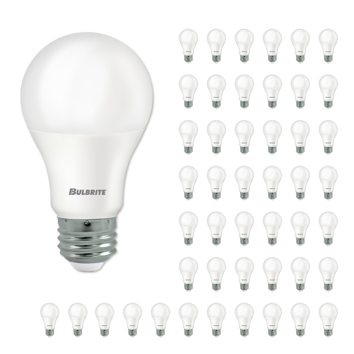 Bulbrite LED Filament Pack of (48) 9 Watt Dimmable A19 Light Bulb with Frost Glass Finish and Medium (E26) Base - 5000K (Soft Daylight Light), 800 Lumens