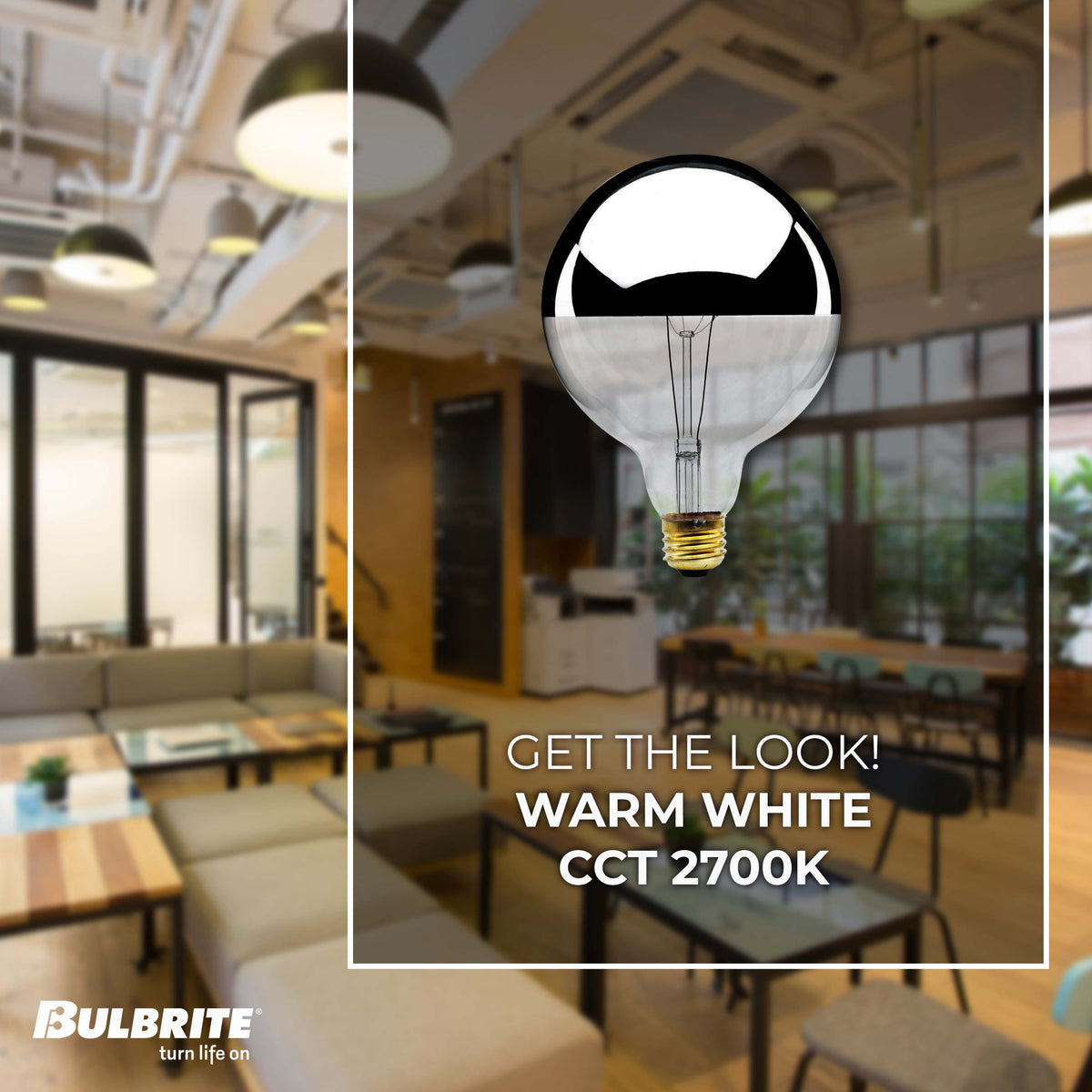 Bulbrite 60W Dimmable Half Chrome G40 Incandescent Light Bulbs with E26 Medium Base, 2700K Warm White Light, 6-Pack