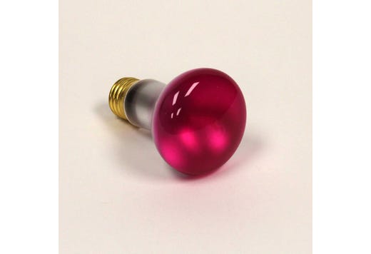 R20 Reflector Flood Incandescent Bulb 50W 2700K Medium (E26) 130V product image