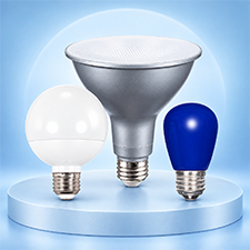LED Light Bulbs