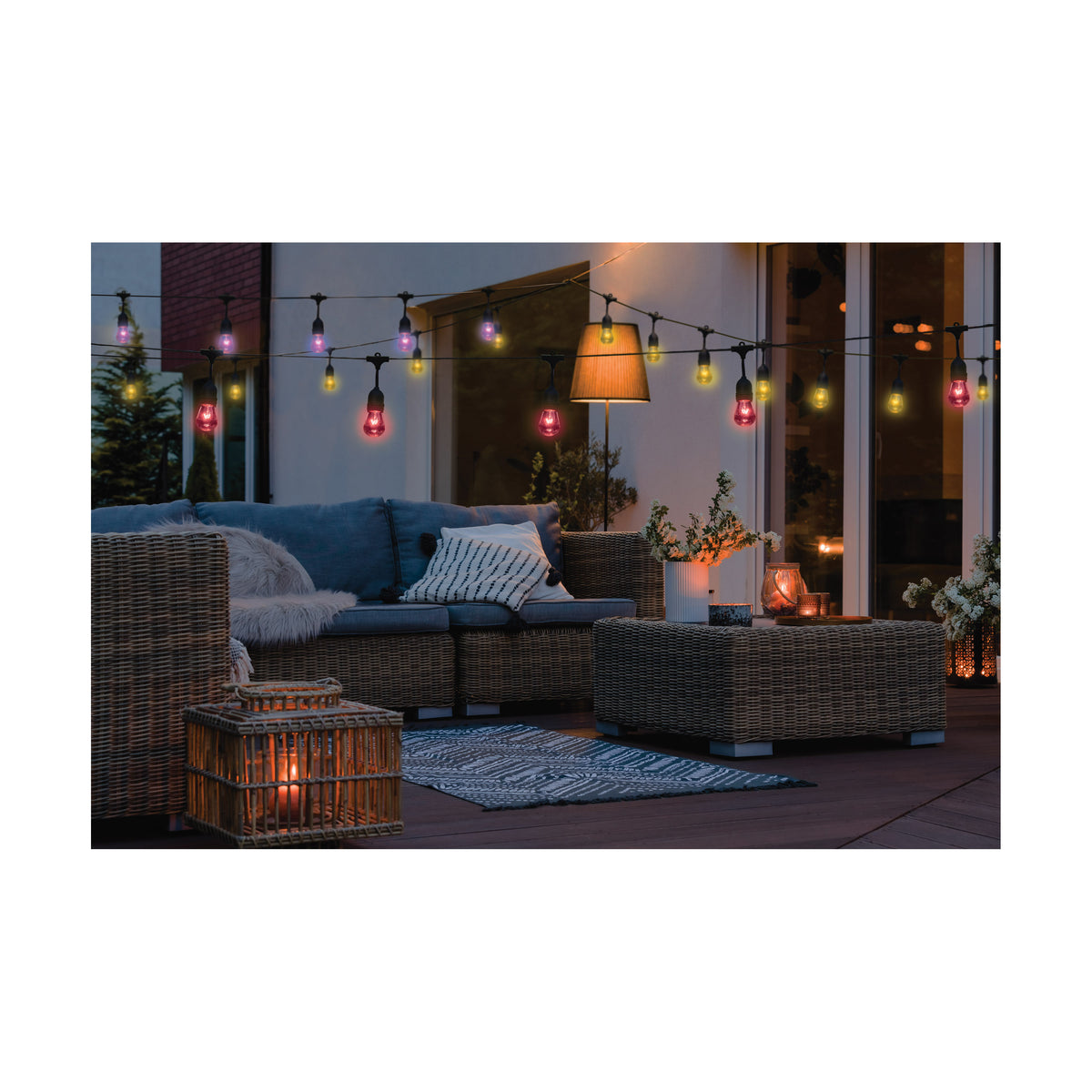 Starfish - 48 Foot LED String Light - 15-S14 Lamps - IOT - RGBTW - Black - 120 Volt