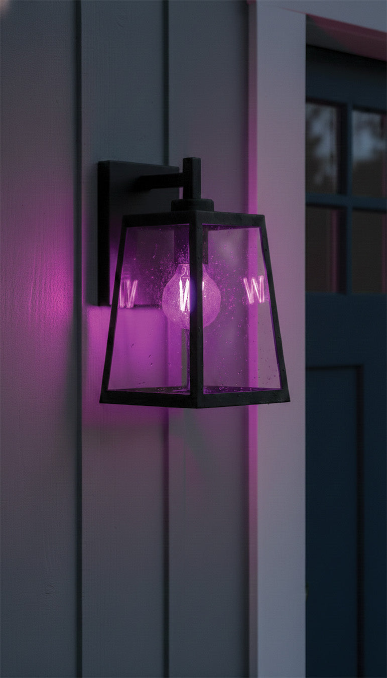 8 Watt LED A19 - Straight Filament - Purple Light - Glass - 120 Volt - 1-Pack