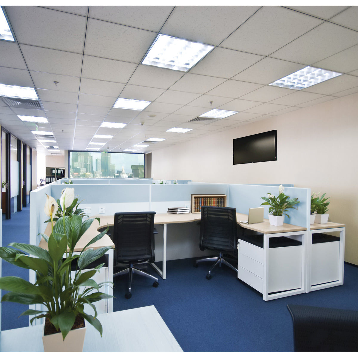 22 Watt PLL LED - 2G11 Base - 30K/35K/40K/50K/65K CCT Selectable - Type A/B - 120-277 Volt