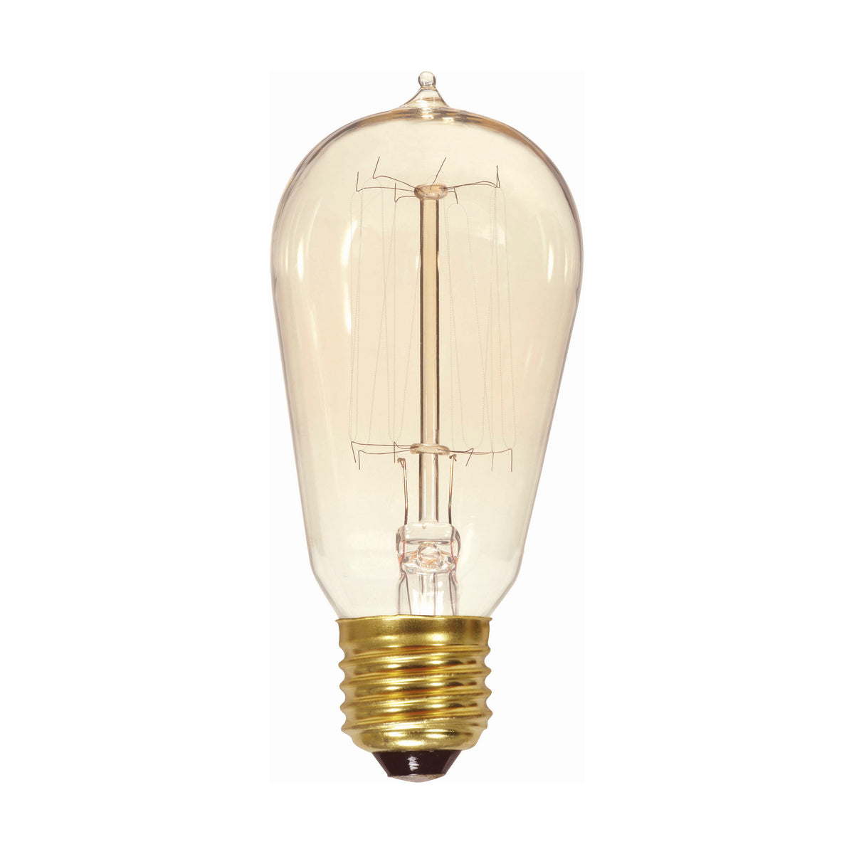40 Watt ST19 Incandescent - Clear - 3000 Average rated hours - 160 Lumens - Medium base - 120 Volt bulb or fixture view