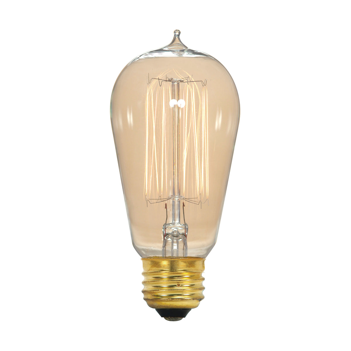 40 Watt ST19 Incandescent - Clear - 3000 Average rated hours - 160 Lumens - Medium base - 120 Volt