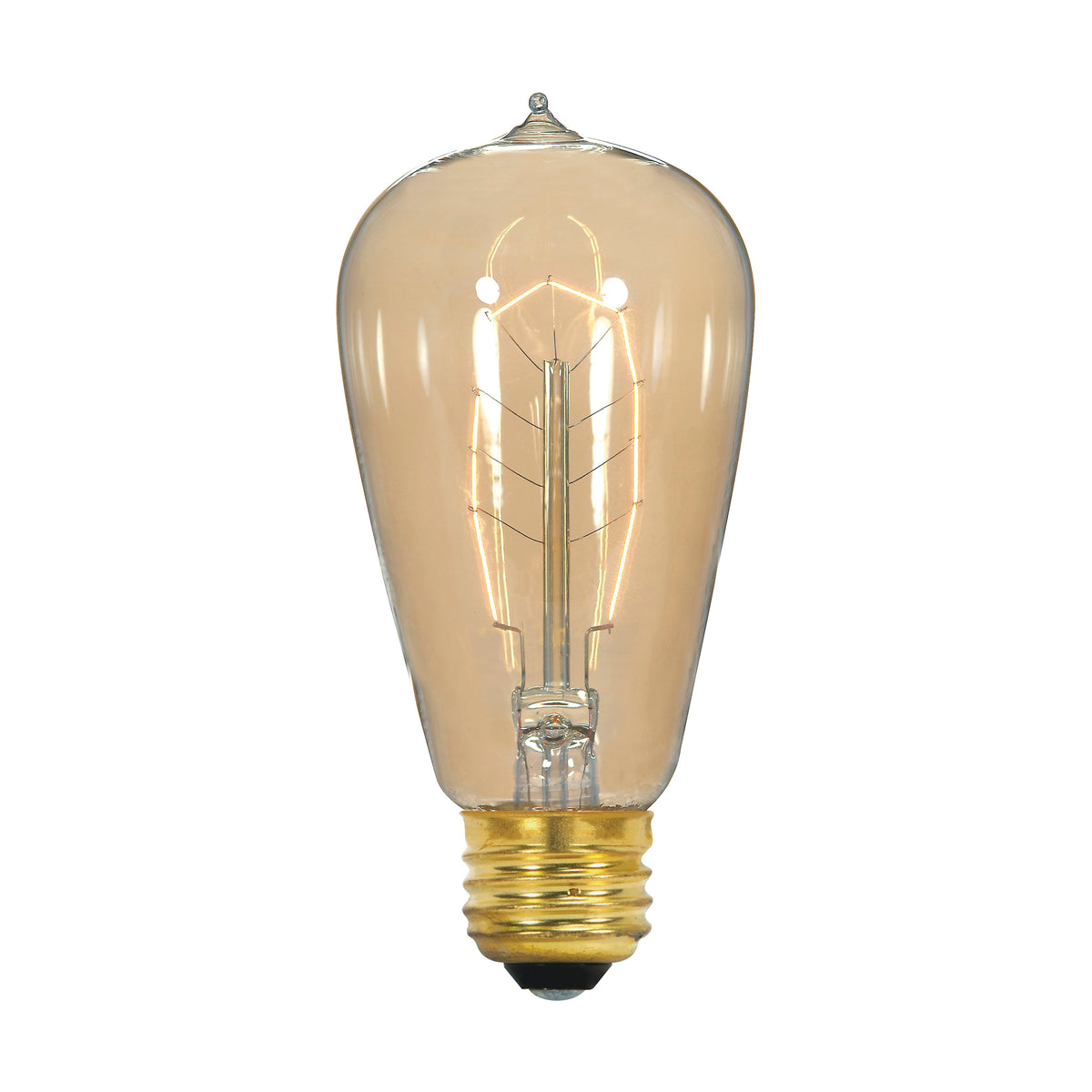 40 Watt ST19 Incandescent - Clear - 3000 Average rated hours - 160 Lumens - Medium base - 120 Volt