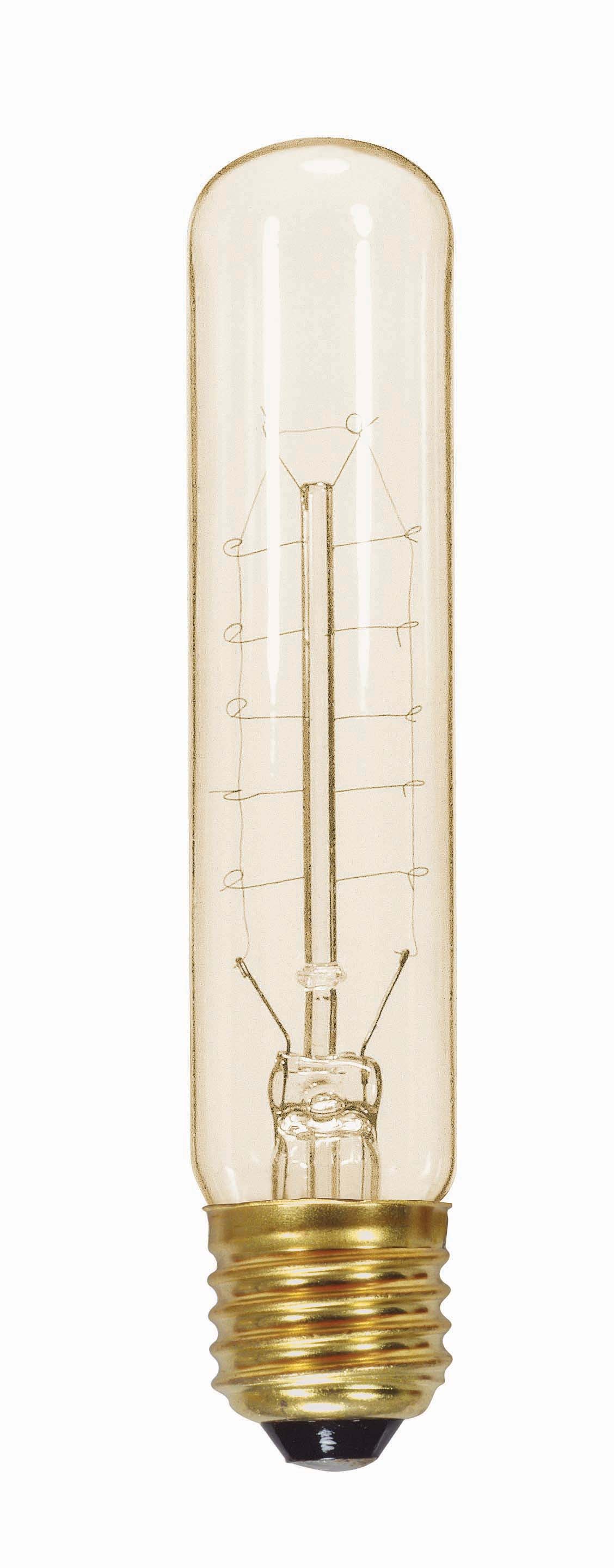 20 Watt T9 Incandescent - Clear - 3000 Average rated hours - 80 Lumens - Medium base - 120 Volt bulb or fixture view