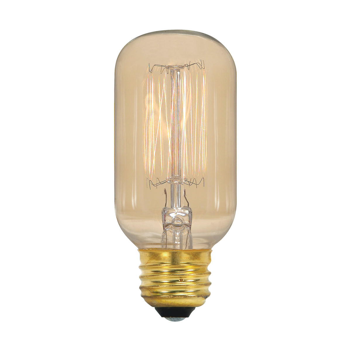 40 Watt T14 Incandescent - Clear - 3000 Average rated hours - 160 Lumens - Medium base - 120 Volt