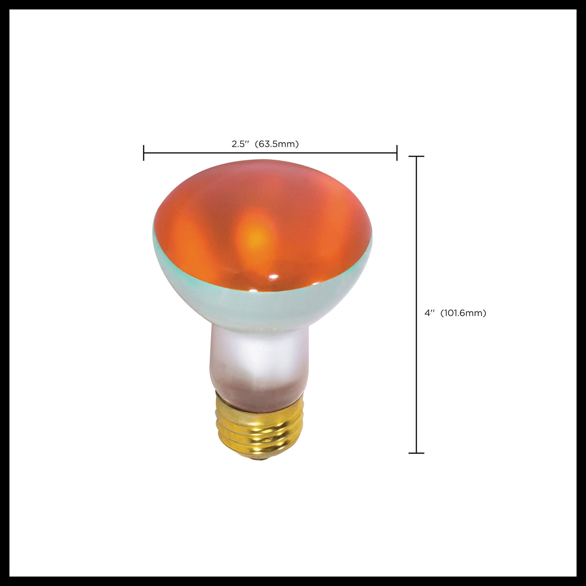 50 Watt R20 Incandescent - Amber - 2000 Average rated hours - Medium base - 130 Volt