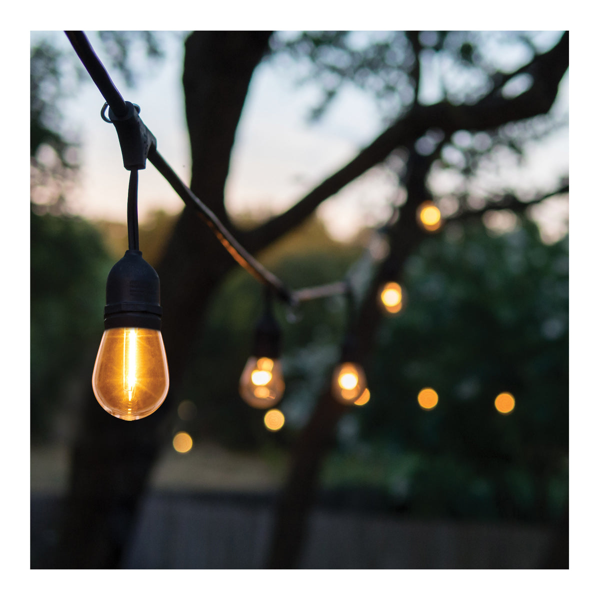 S14 LED String Light Replacement Lamp - Medium Base - 2200K - Clear - 120 Volt - 4-Pack