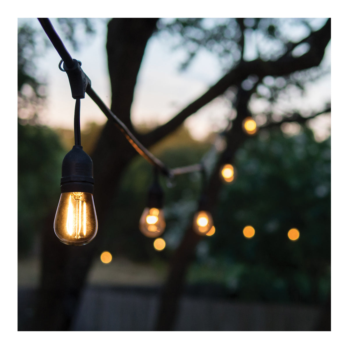 60 Foot LED String Light - 24-S14 Lamps - Medium Base - 2200K CCT - Black